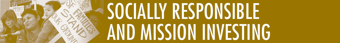 Socially Responsible and Mission Investing Section
